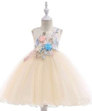 Girls Special Occasion 3D Floral Dress-Champagne