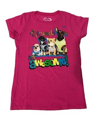 All My Friends Are Awesome T-Shirt