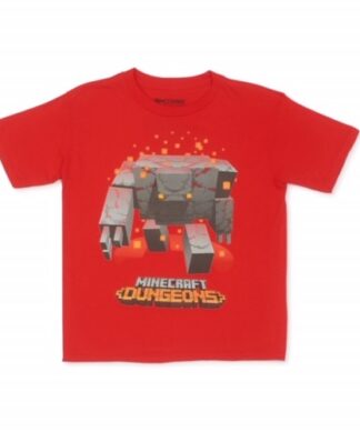 Minecraft Big Boys Short Sleeve T-shirt - Red