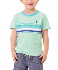 U.S Polo Assn. Toddler Boys Stripe T-shirt - Mint