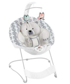 Fisher Price ® See & Soothe Deluxe Baby Bouncer
