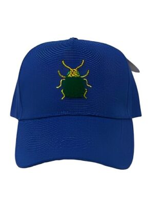 Brightstar Kids Hat / Face Cap - Blue Bug -Size 4-6x