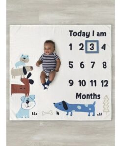 Gerber Baby Boy Mile Stone Blanket 2 Piece - Blue Puppies