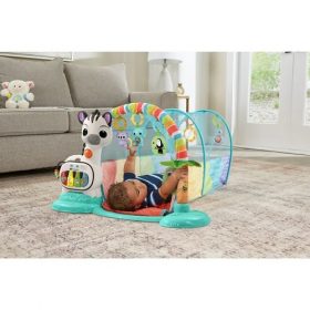 Vtech Baby 6-In-1 Tunnel Of Fun Play Gym For Babies