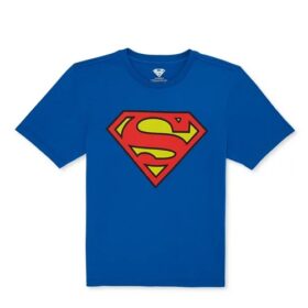 DC Comics Boys Superman Graphic Tshirt - Blue