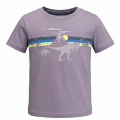 Falls Creek Baby & Toddler Boys Short Sleeve Tshirt - Purple Dino Park