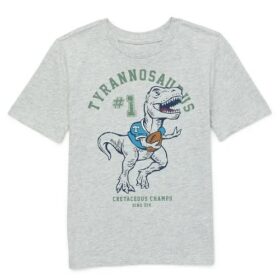 365 Kids Boys Graphic Tshirt With Short Sleeves - Grey Dino
