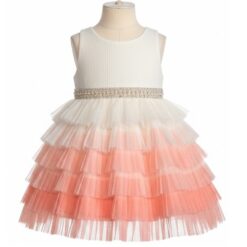 American Princess Baby & Toddler Girls Ruffles Tiered 2 Tone Special Occasion Dress