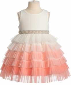 American Princess Baby & Toddler Girls Ruffles Tiered 2 Tone Special Occasion Dress
