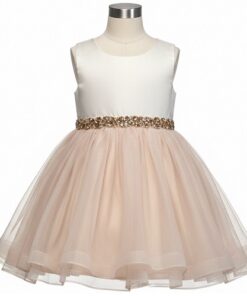 Rare Edition Special Occasion Girls Rhinestone Embellished Waist Party Dress