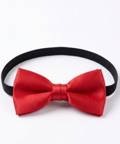 Boys Classic Bow Tie - Red