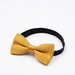 Boys Classic Bow Tie - Gold